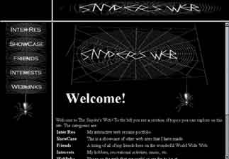 the Snyder's Web - 1996